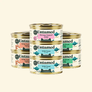 Fish in Jelly Variety Pack - 7 tins - Image 2